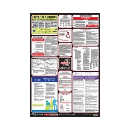 OSHA SAFETY POSTER COMBO STATE, PPG300NY